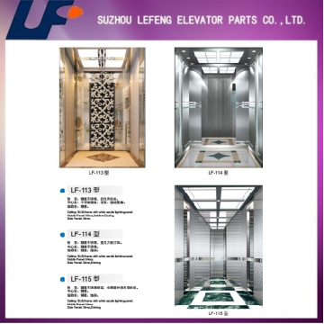 Passagier Home Aufzug Lift Hersteller Made in China